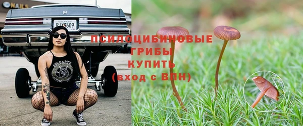 дмт Зеленокумск